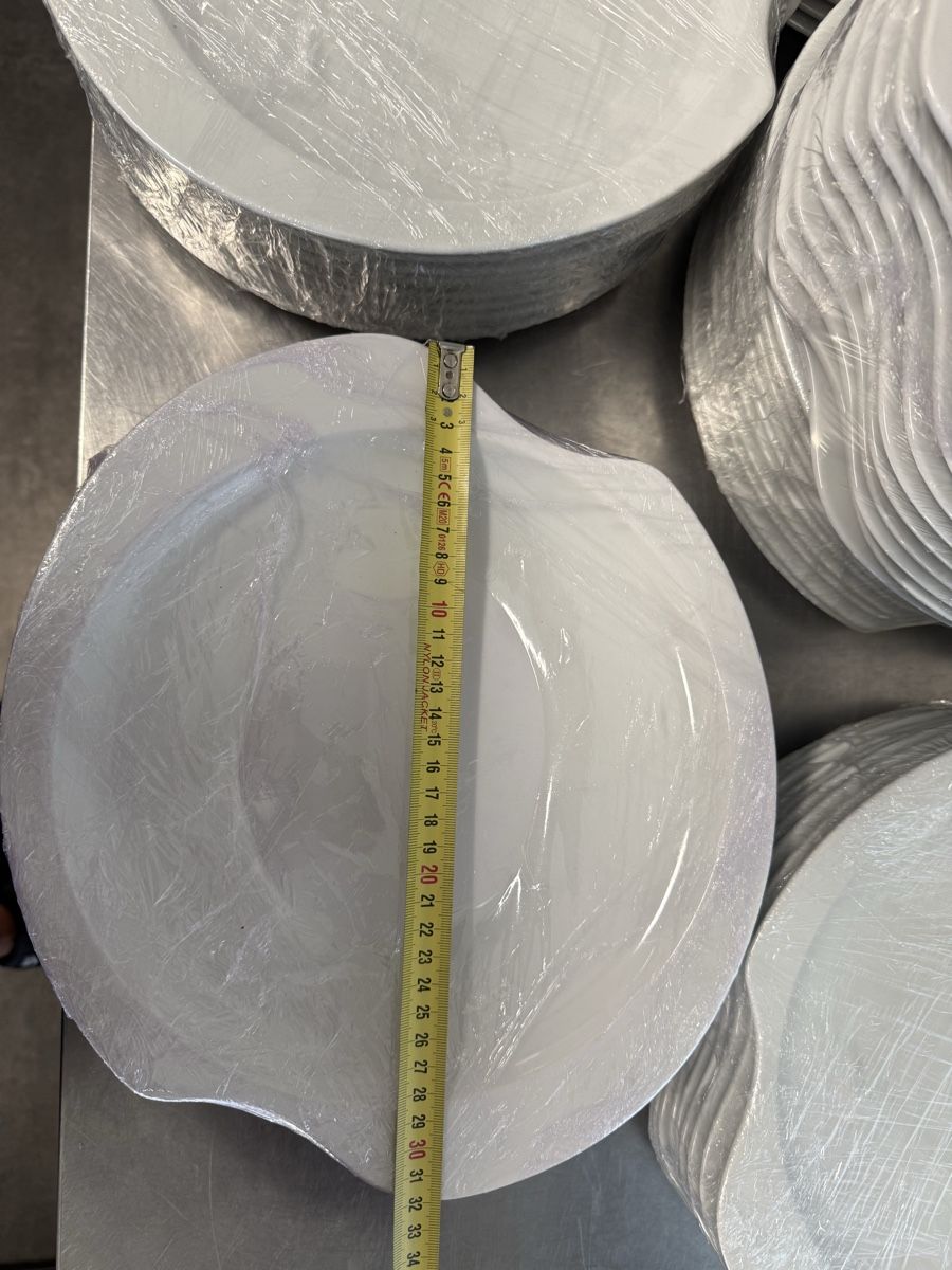 Seltmann Piatti: Teller Seltmann Weiden 28 cm / 89 Stk. – Usato da Allenwinden venduto da Thebadboy 3