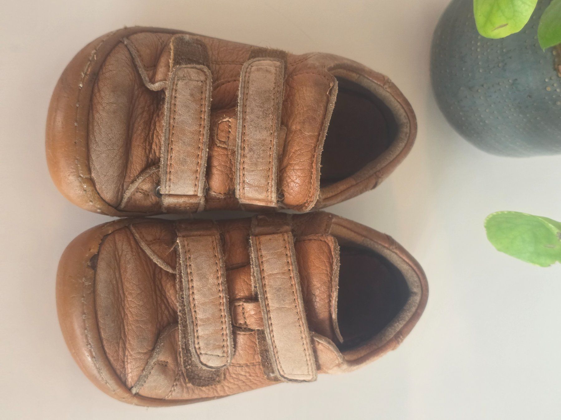 Froddo Chaussures garçon: Froddo Barfussschuhe Gr 26 – D'occasion à Wichtrach par Elenagonzi
