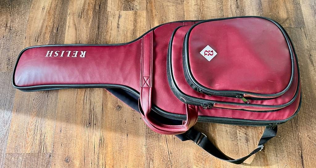 Strumenti musicali: Gigbag von Relish – Usato da Horw venduto da piho