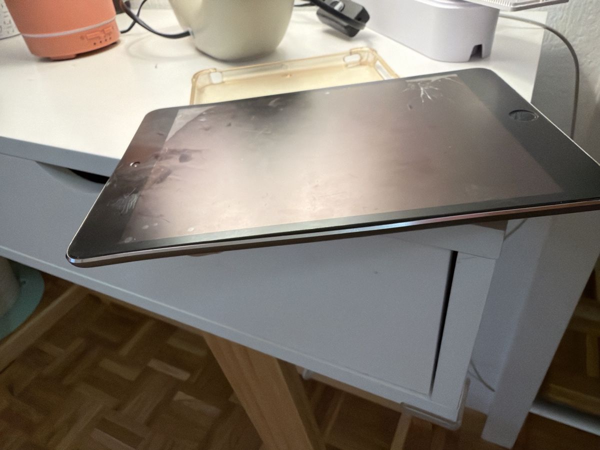 Apple Tablet PC: iPad mini – Usato da Ecublens VD venduto da djromeo02 2