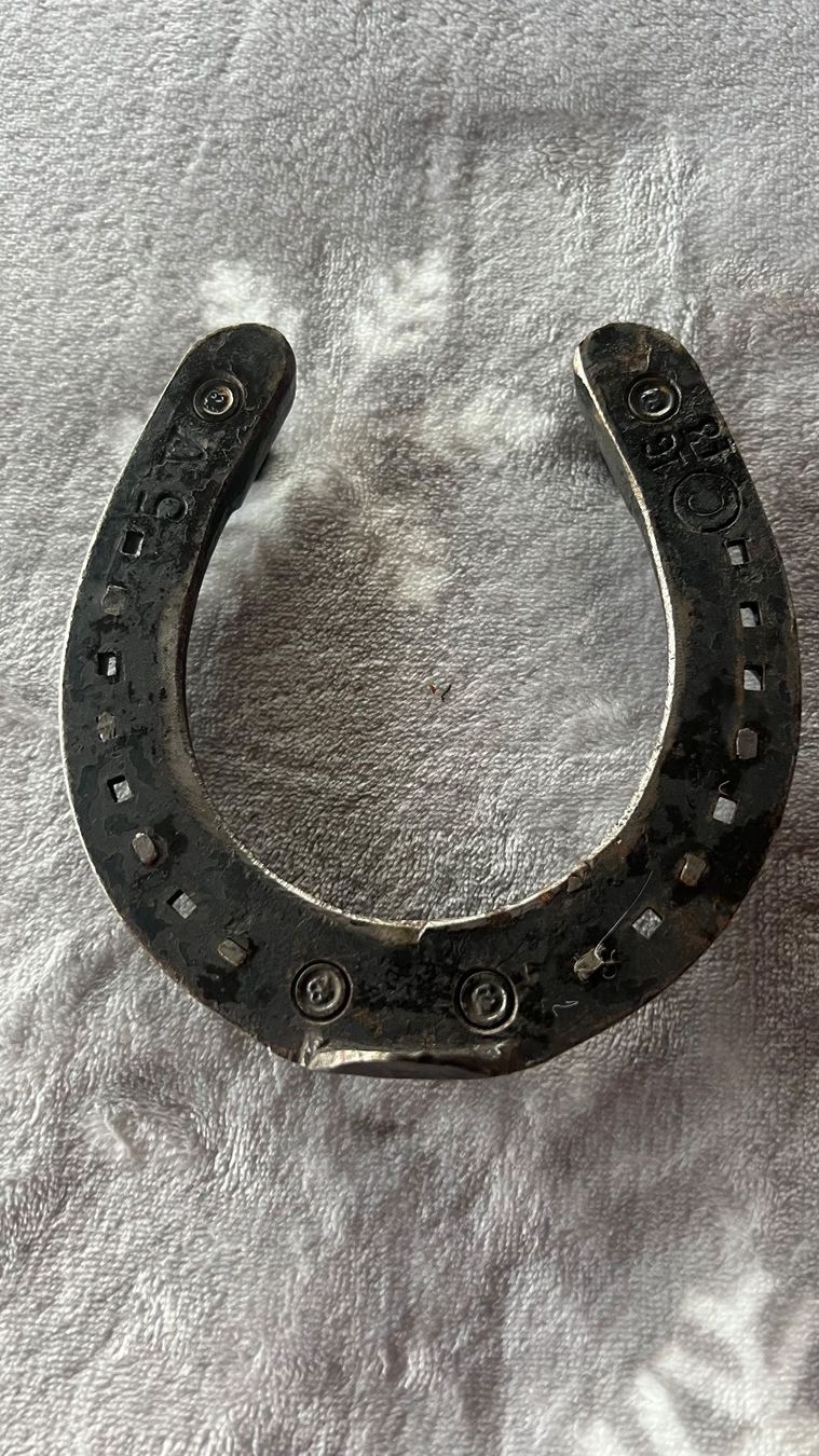 Altro in Accessori per animali: Schweizer Armee Hufeisen I / 54 – Usato da Schübelbach venduto da Dolly990_2 1