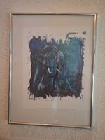 Bilder Rolf Knie