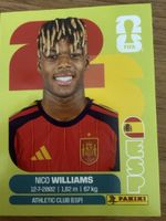Panini Fifa ESP 17