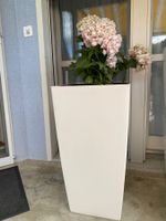 Blumentopf inklusive Pflanze