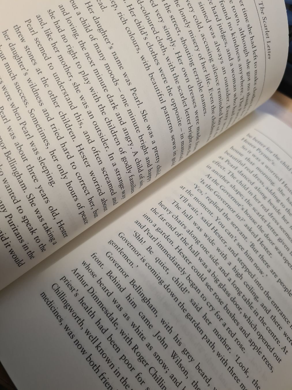 Bücher: BUCH englisch "The Scarlet Letter" – Gebraucht aus Mezzovico von maemy 1