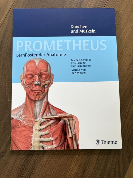 Prometheus LernPoster Anatomie: Knochen und Muskeln (Neu (gemäss ...