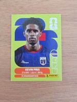 Panini Fifa CPV 10