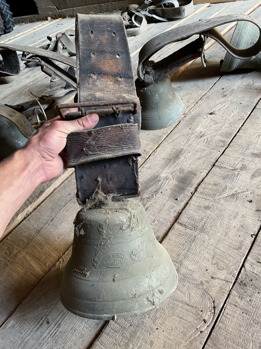 Glocken & Treicheln: Glocken, Schellen grosser Posten! – Gebraucht aus Burgistein von hac_72zv