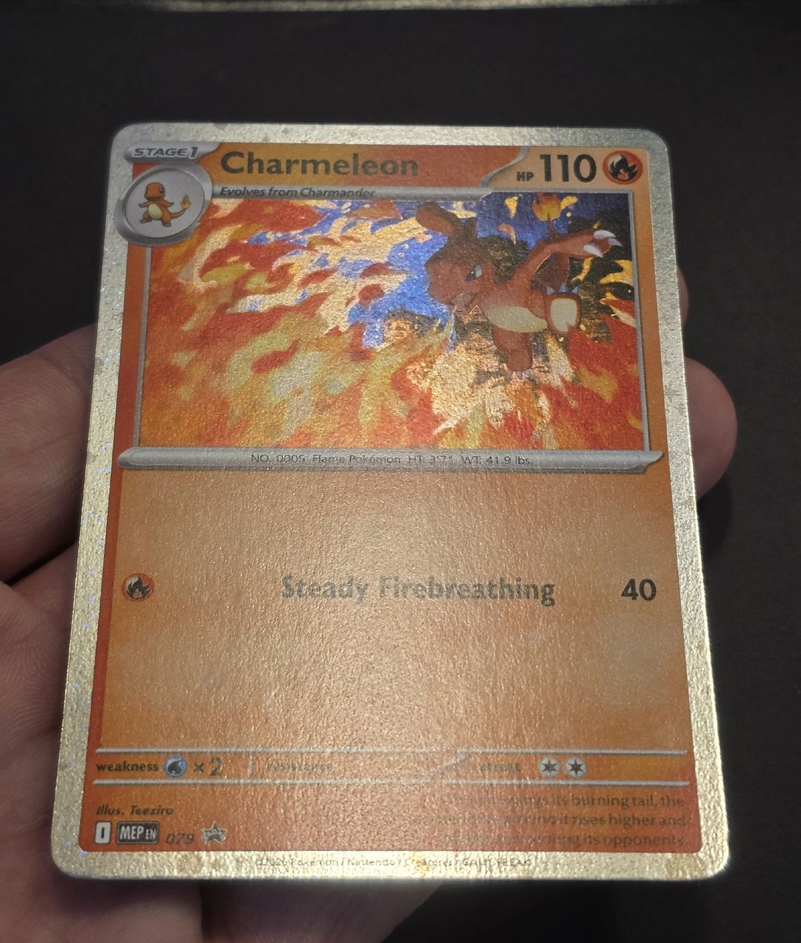 Pokémon Cartes à collectionner: Charmeleon Pokémon Mega Evolution Promo 079 NM -EN – Neuf (Voir description) à Basel par MartinM.91 3