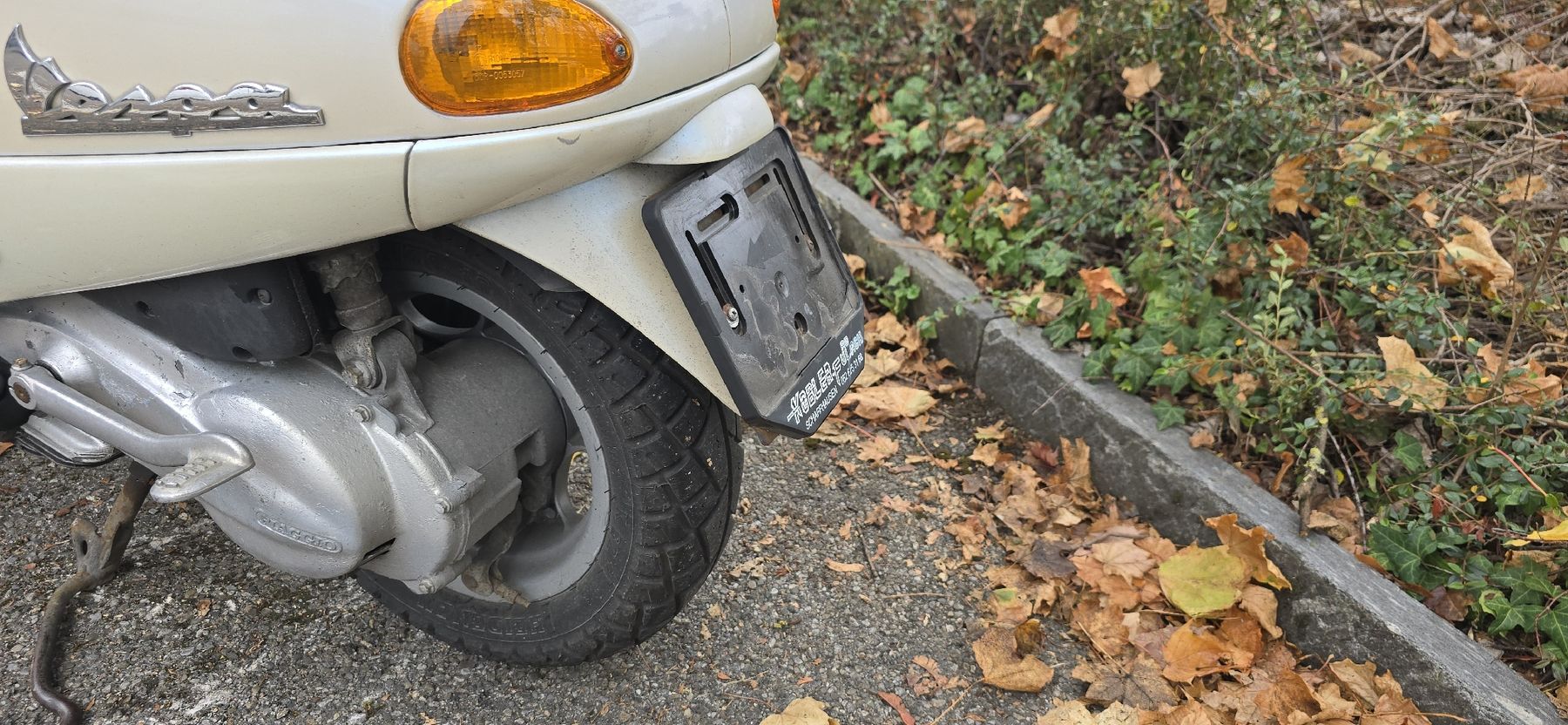 Vespa Scooters: Piaggio Vespa ET4 – Defekt aus Dachsen von Caddy94 3