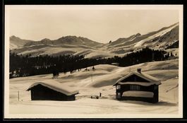 AK Arosa, Tschuggen- & Hörnli-Skifelder