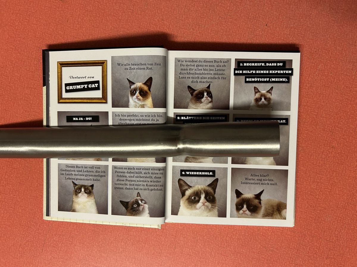 Libri: Grumpy Cats Grumpy Guide to Life Buch guter Zustand – Usato da Lanzenhäusern venduto da vic63 2