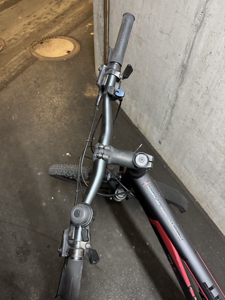 Biciclette: Velo – Usato da Schmerikon venduto da BiancaM03 5