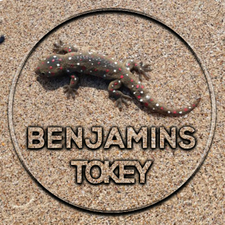 Profile image of BenjaminsTokey