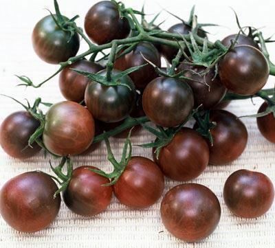 Pflanzen & Samen: 100 Samen TOMATE BLACK CHERRY Alte Sorte – Neu (gemäss Beschreibung) aus Ehrendingen von VerveinaSamen