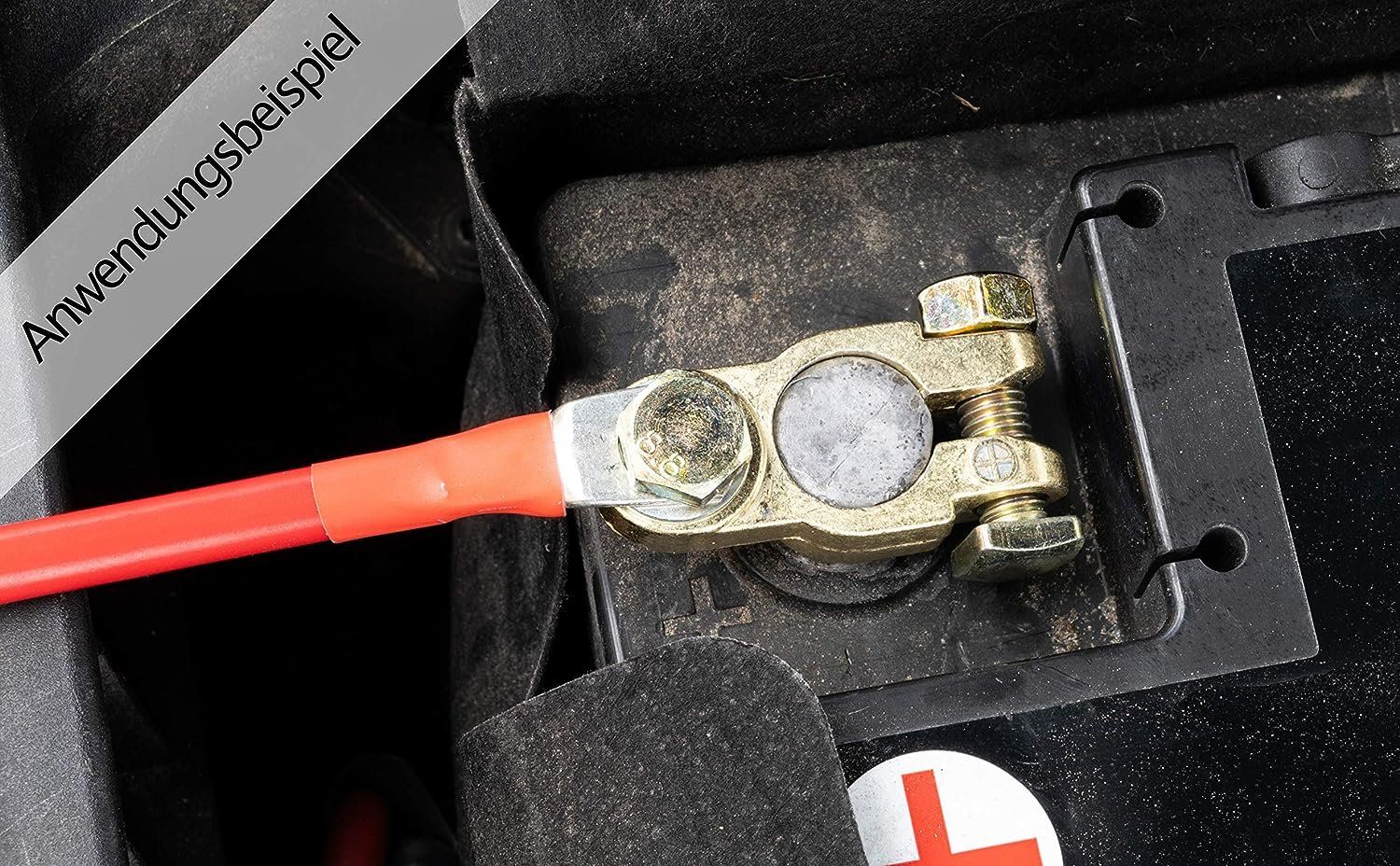 Caricatori & Batterie: Pol- Batterie Klemmen SET + und - 12VDC oder 24VDC usw. – Nuovo (secondo la descrizione) da Sulz LU venduto da Elektrofachverkauf 3