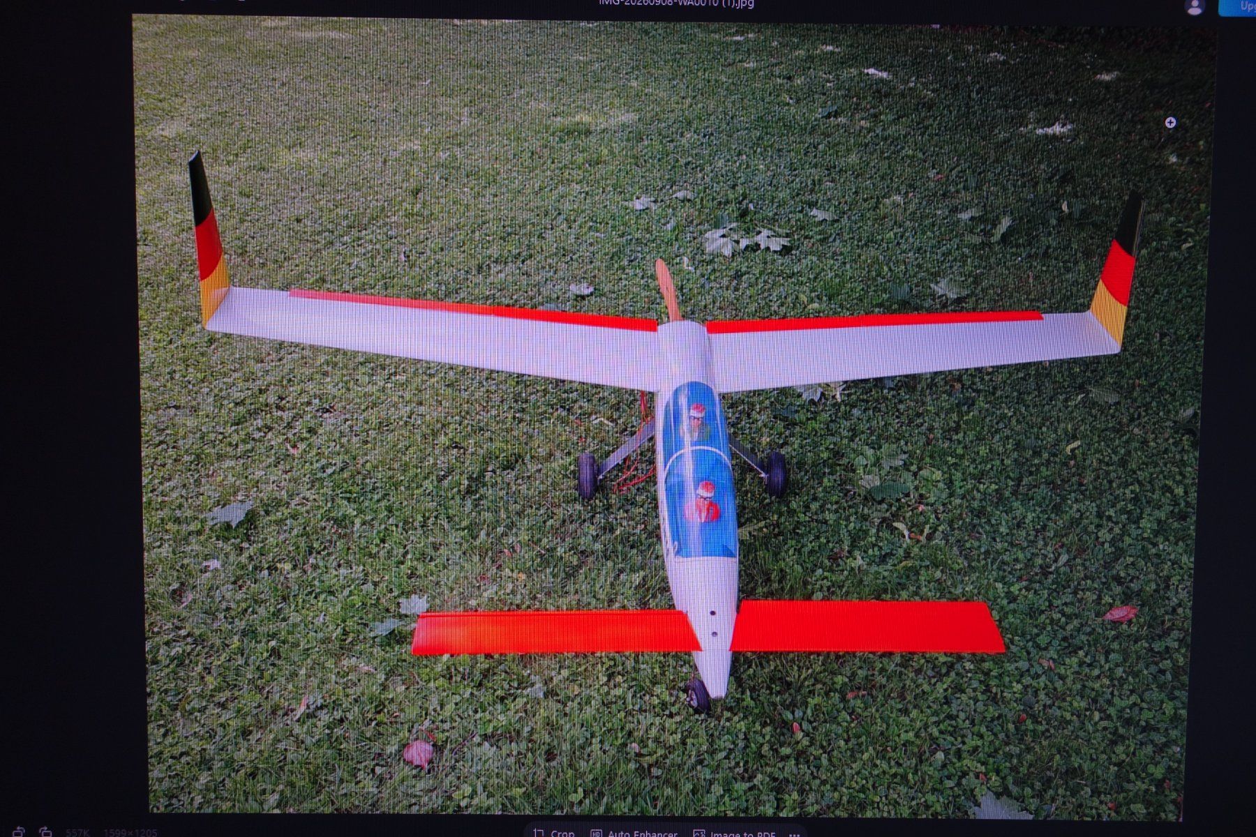 Modellismo RC: Canard  Spw.  2.20m – Usato da Stein AG venduto da 8wow7