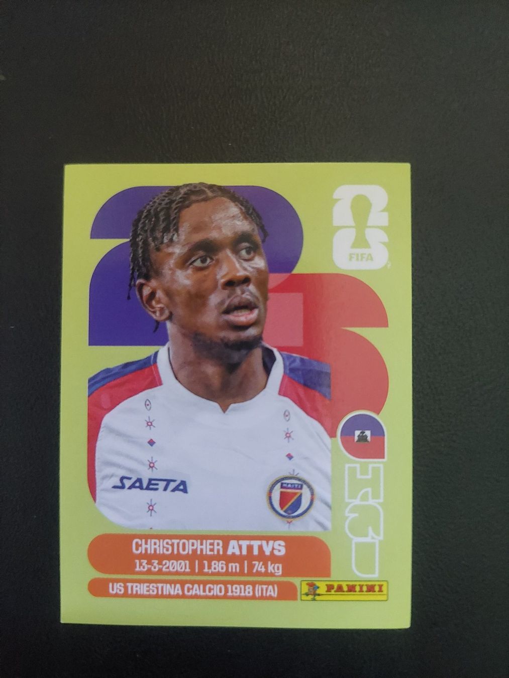 Panini Carte collezionabili: PANIN 2026 - HAI 14 – Usato da Biel/Bienne venduto da Deboma