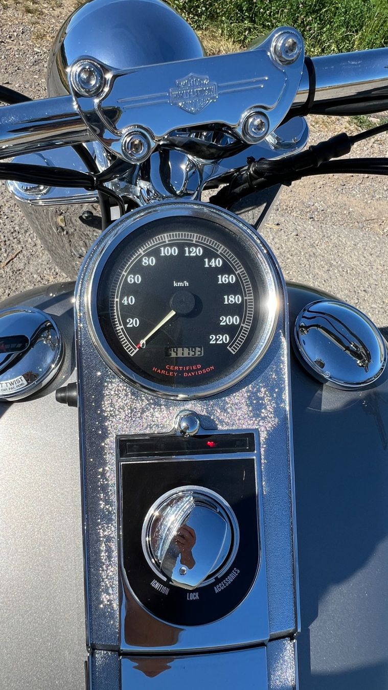 Harley-Davidson Chopper: Harley Davidson Fat Boy FLSTF 1450 – Usato da Hoeri venduto da negoziation 9