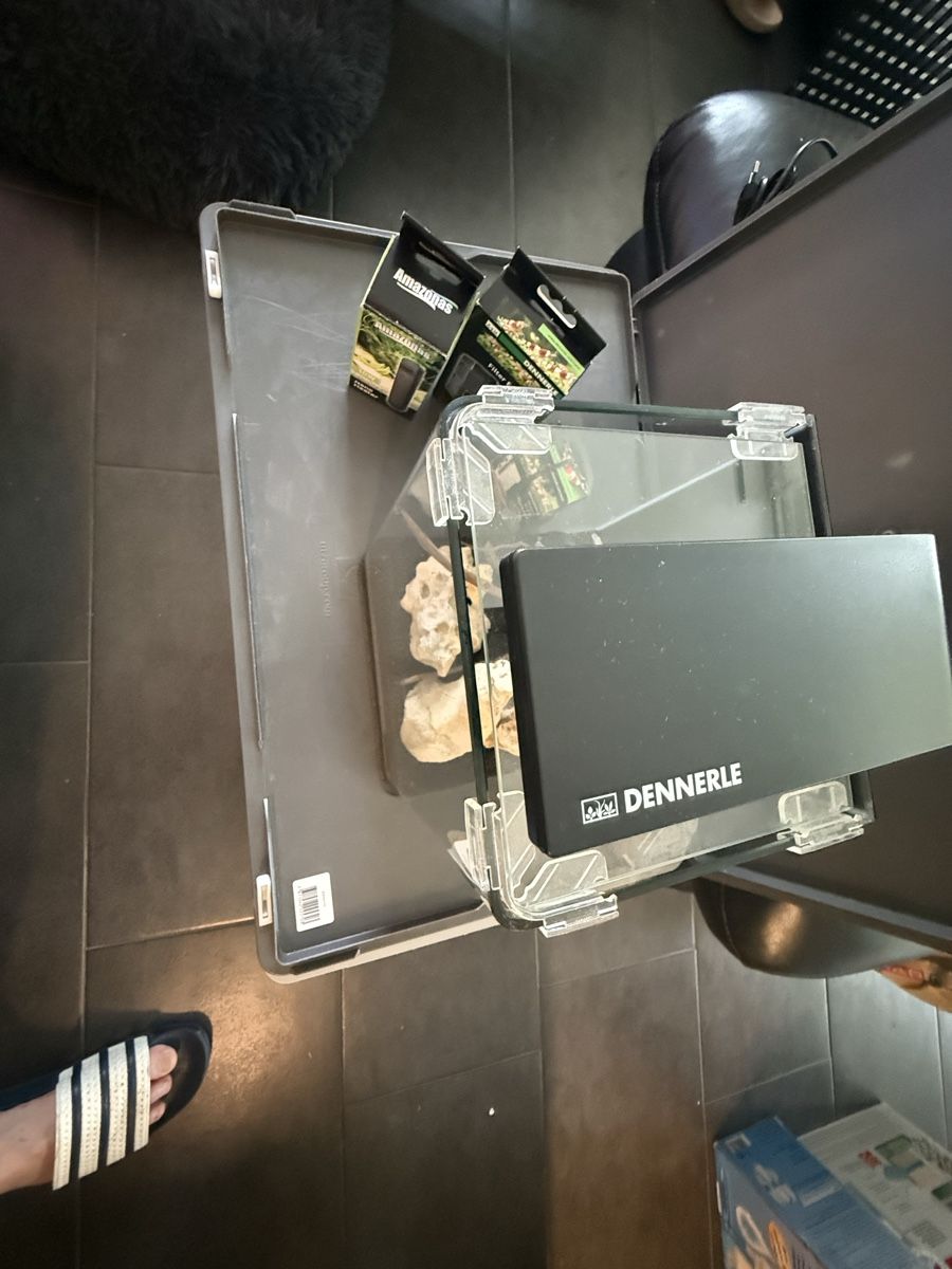 Aquarium: Mini Dennerle Cupe komplett  – D'occasion à Pfäffikon ZH par dan_xs7t 1