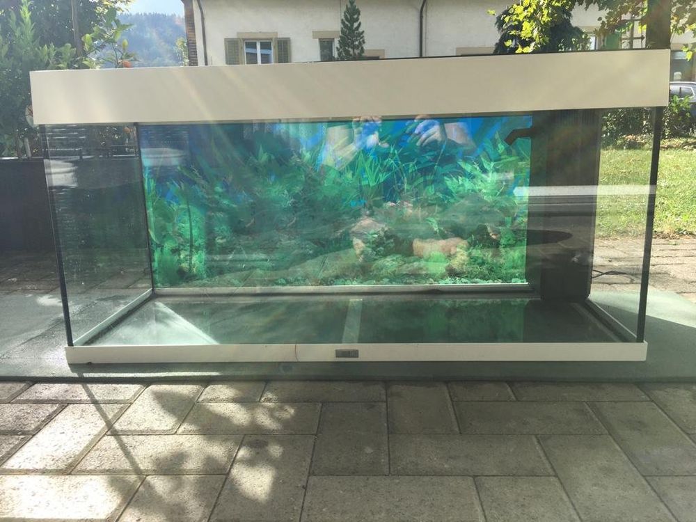 Aquarium 