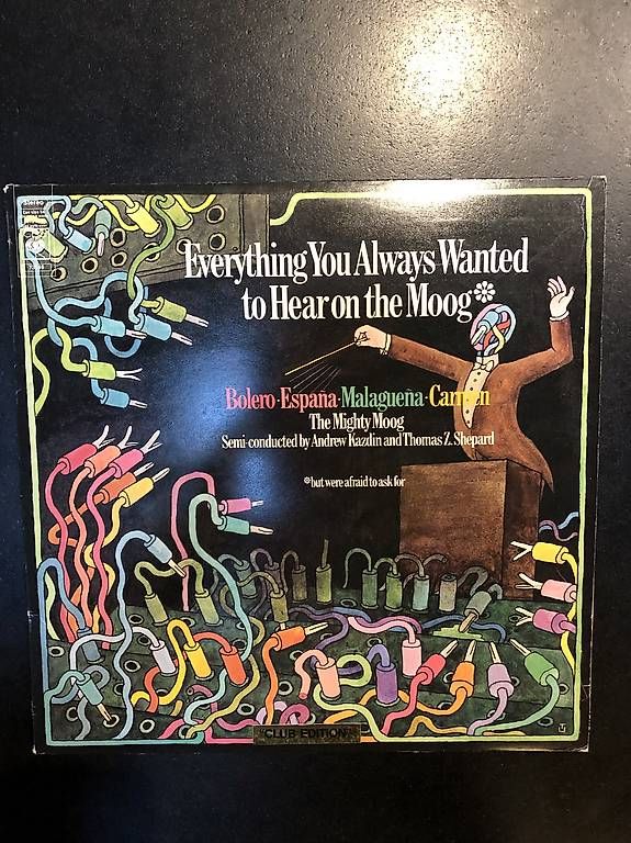 Dischi in vinile: Kazdin/shepard. moog  – Usato da Grangettes-Romont venduto da Guillaumegrangettes
