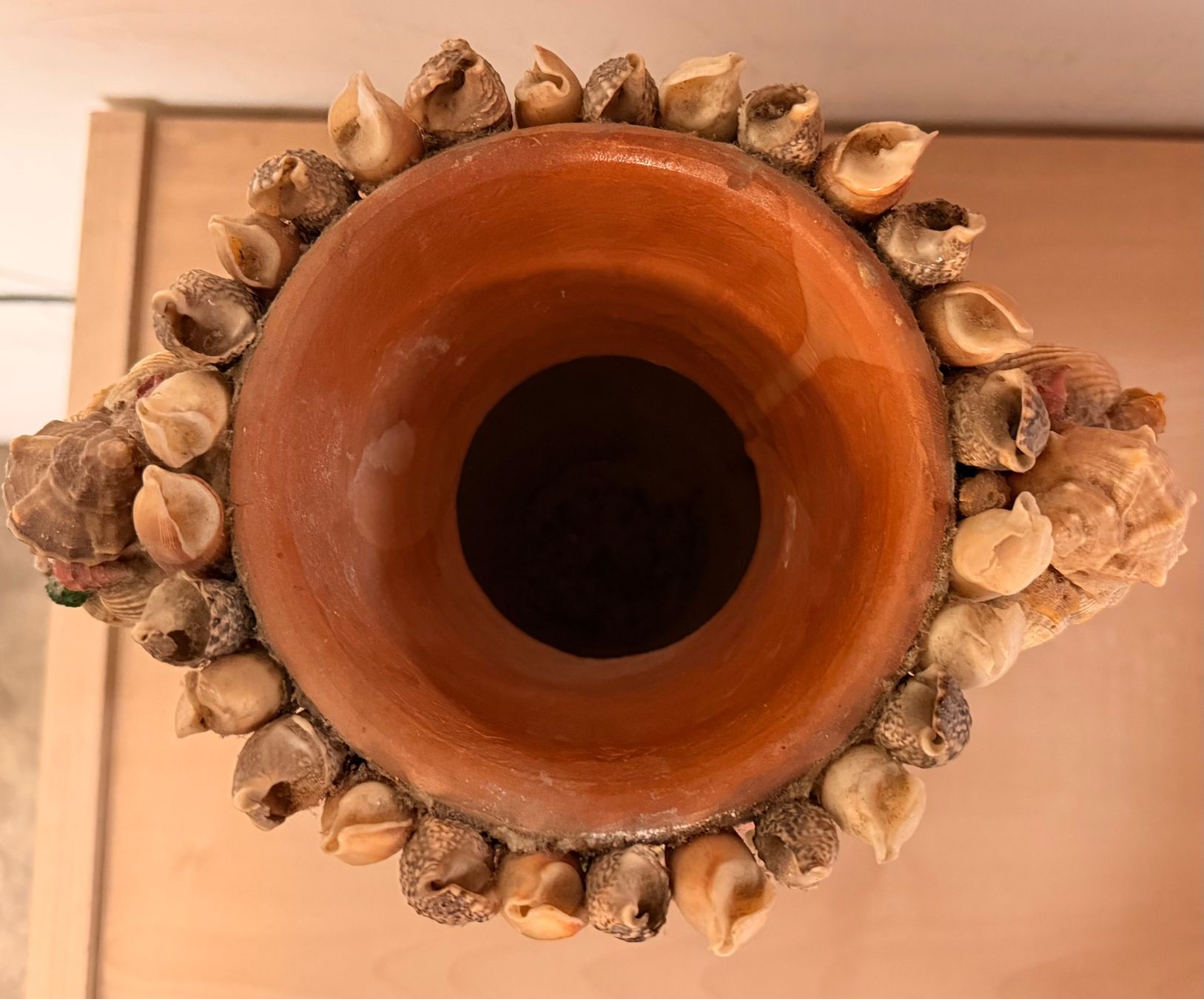 Vasi & Recipienti: Chunky Shell Vase – Usato da Münchenstein venduto da tsp01 2