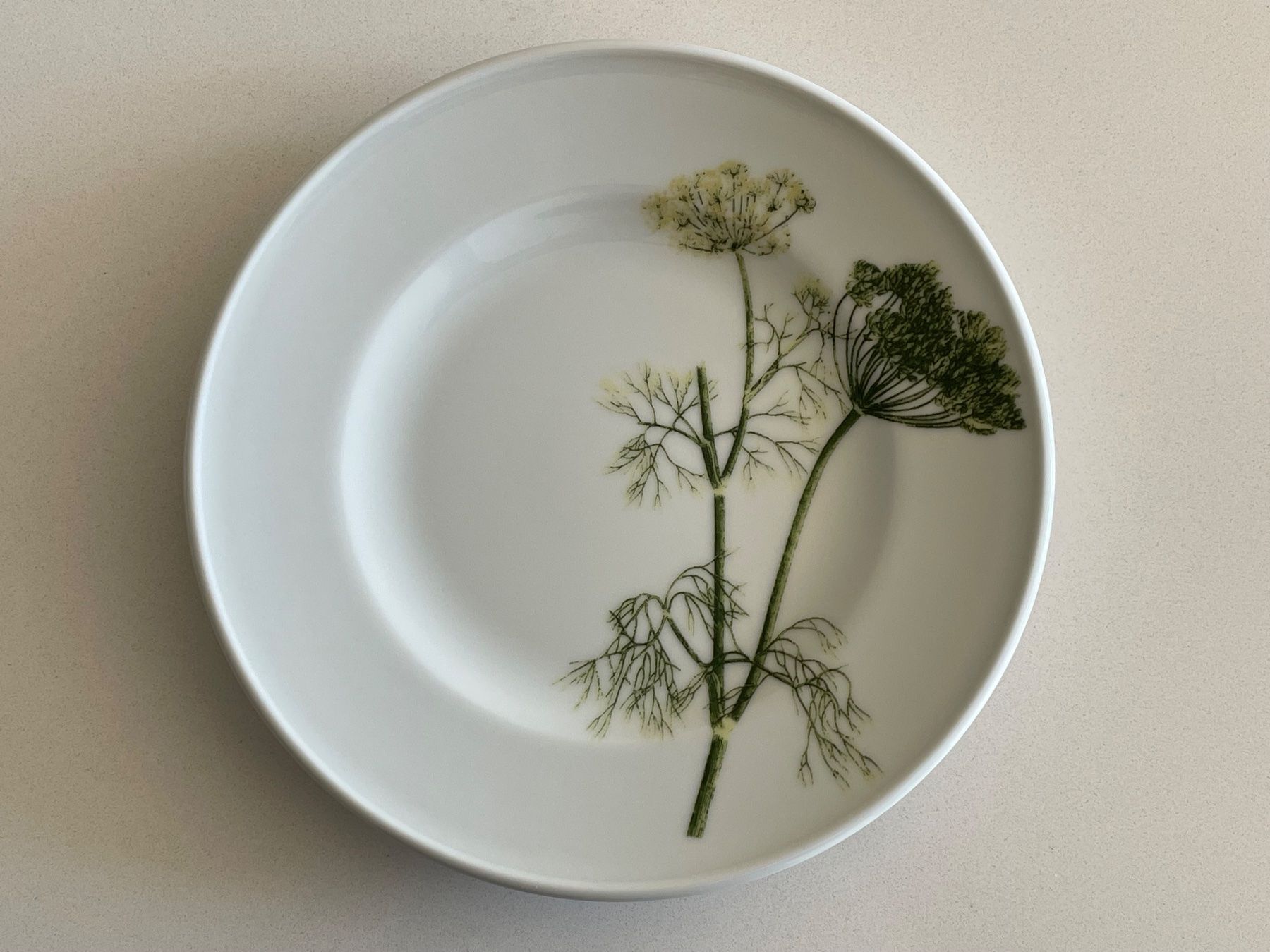 Piatti: 6 Teller Dibbern Herbaticum 19 cm – Usato da Zürich venduto da plumita 5