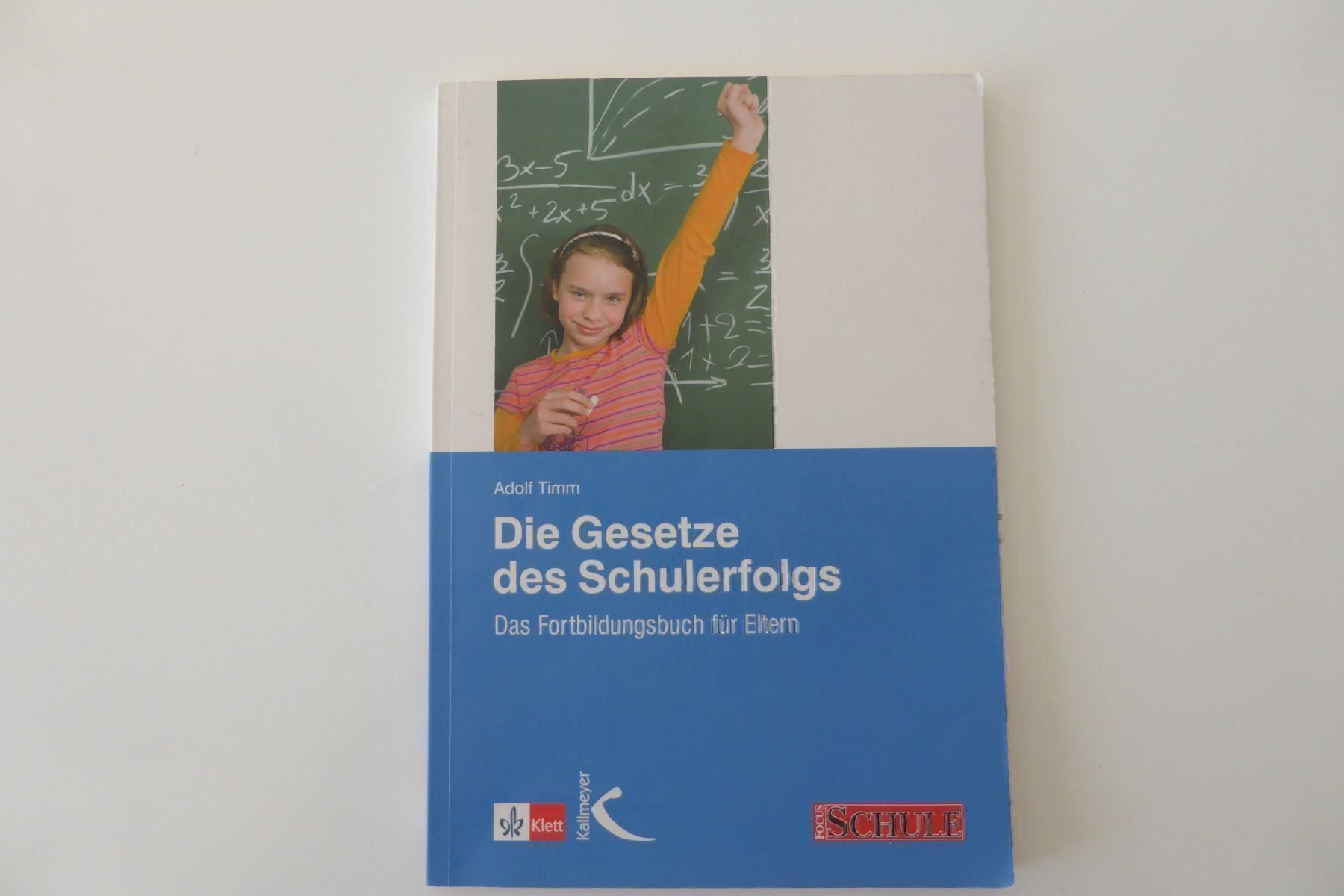 Libri: Die Gesetze des Schulerfolgs – Usato da Trimmis venduto da bergamo10