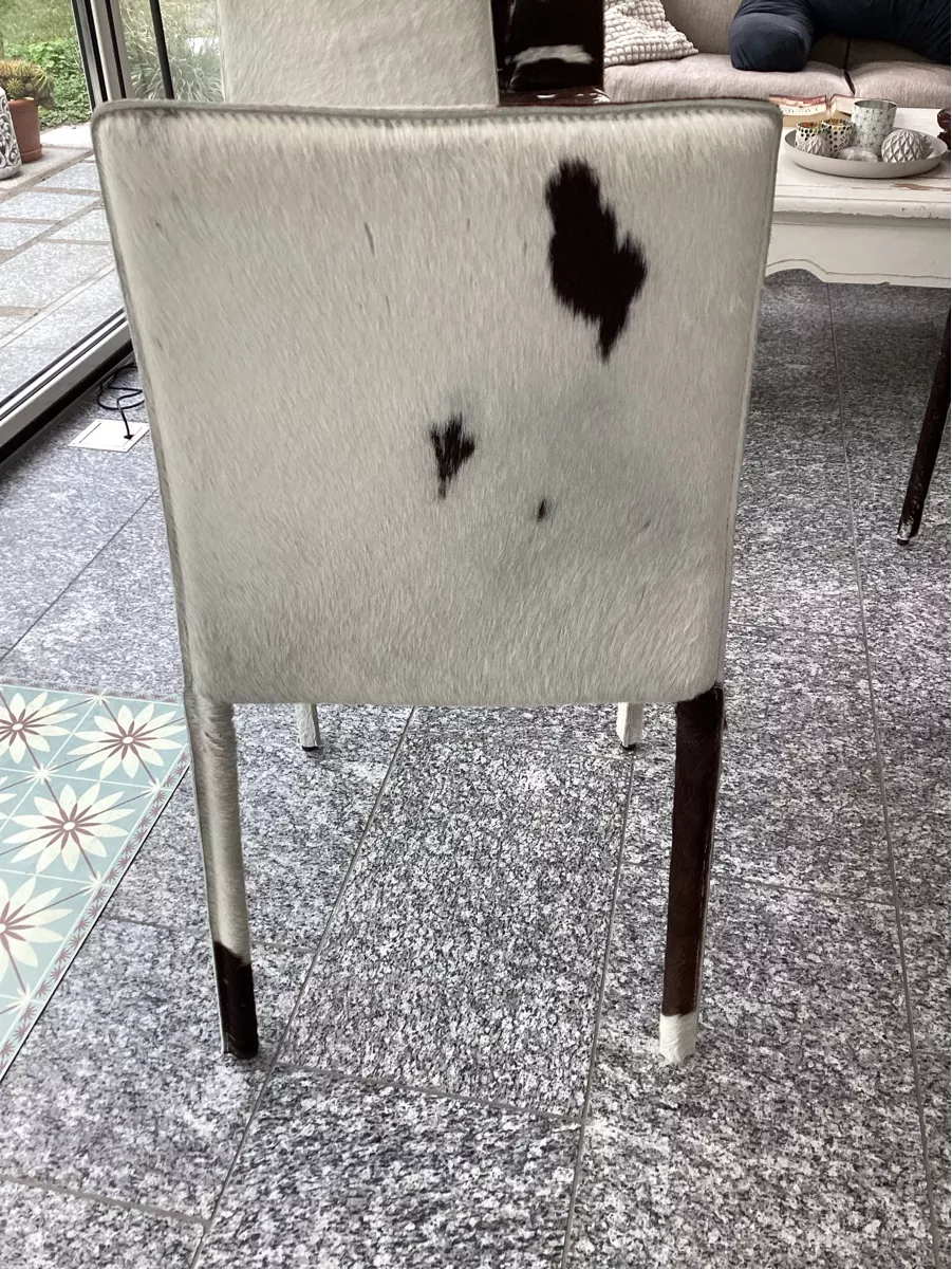 Sedie: Stühle – Usato da Dietikon venduto da Gus7 3