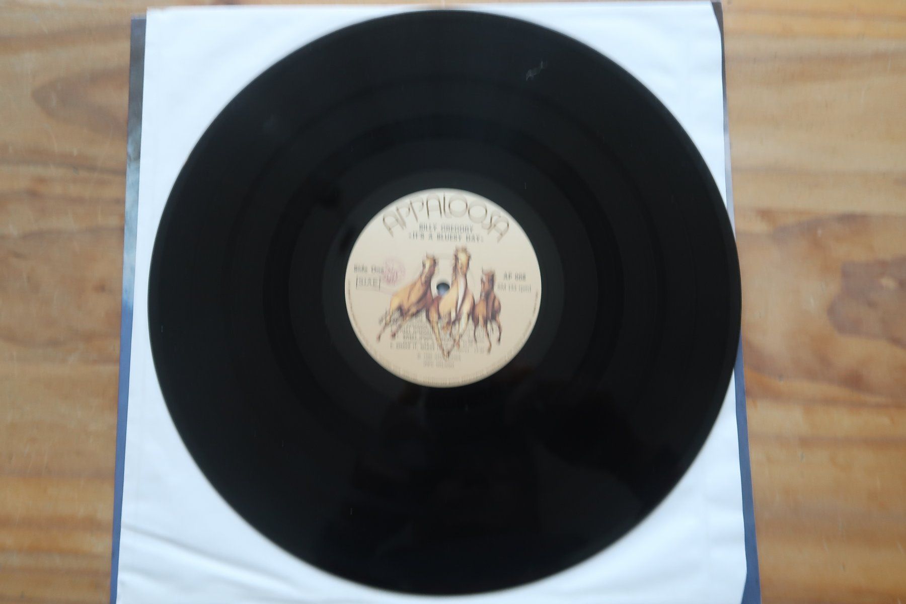 Dischi in vinile: BILLY GREGORY - IT'S A BLUESY DAY - VINYL LP – Usato da Basel venduto da Patiscat 3