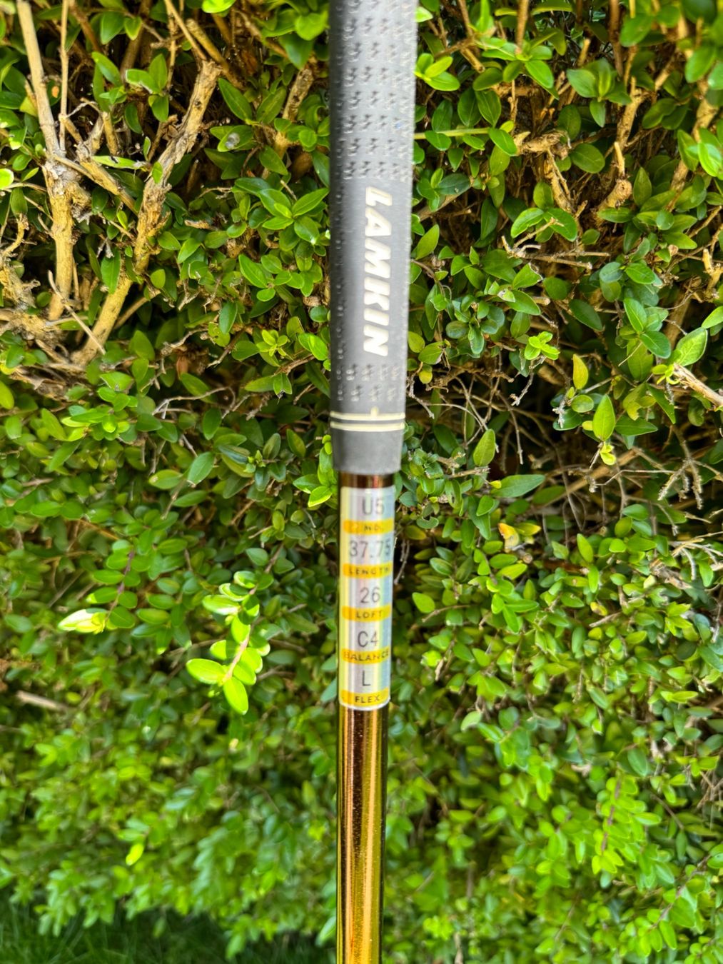 Mazze & Set: Clubs golf dame Daiwa – Usato da Genève venduto da flocon06 2
