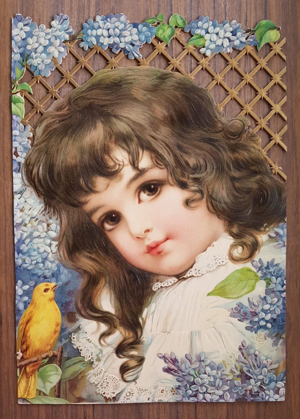 Grafiken & Lithographien: Bild Mädchen mit Kanarienvogel Jugendstil – Gebraucht aus Mörschwil von antiksalon 2