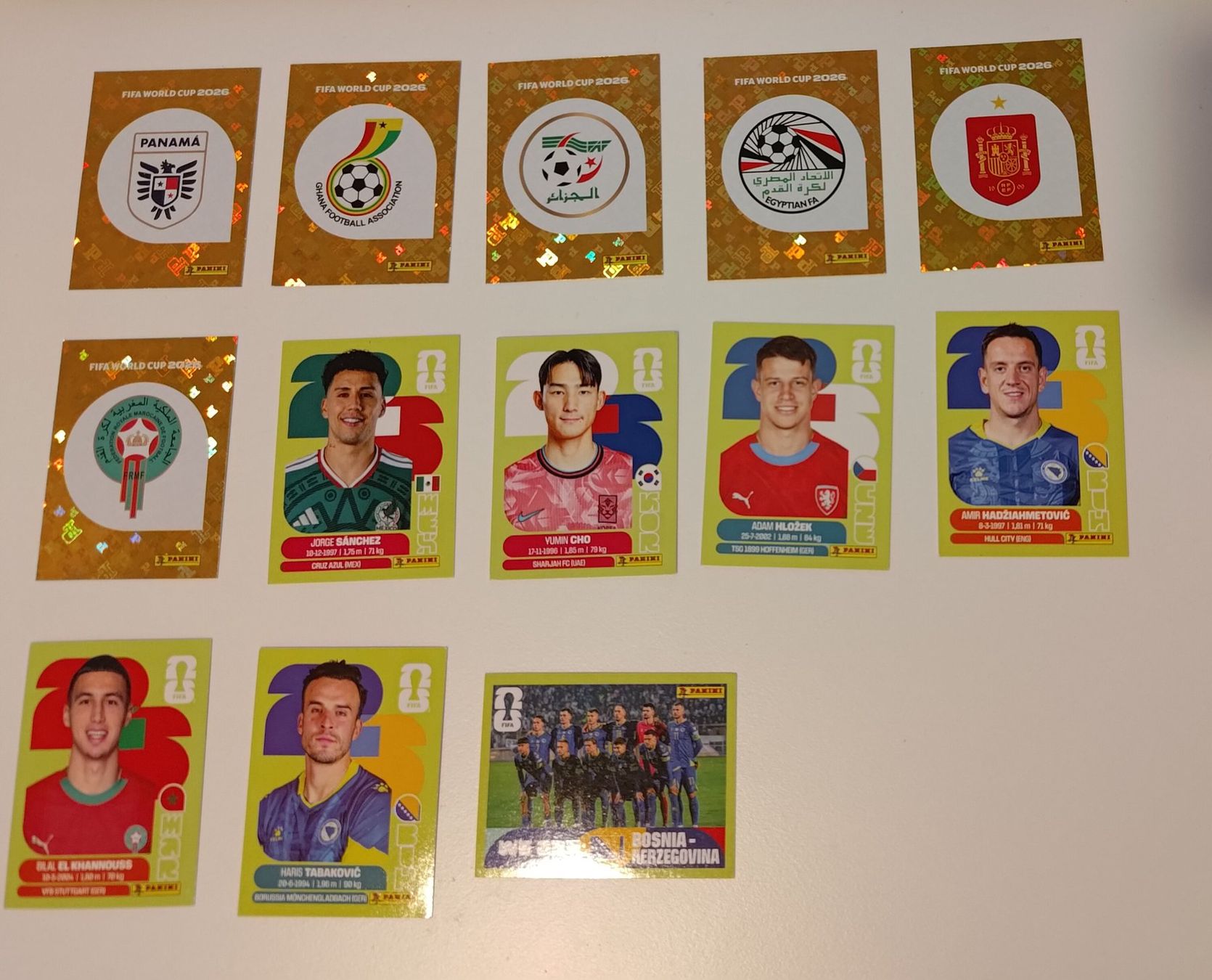 Panini Carte collezionabili: Panini WM 2026 - SET diverse – Usato da Bern venduto da Nicolaro
