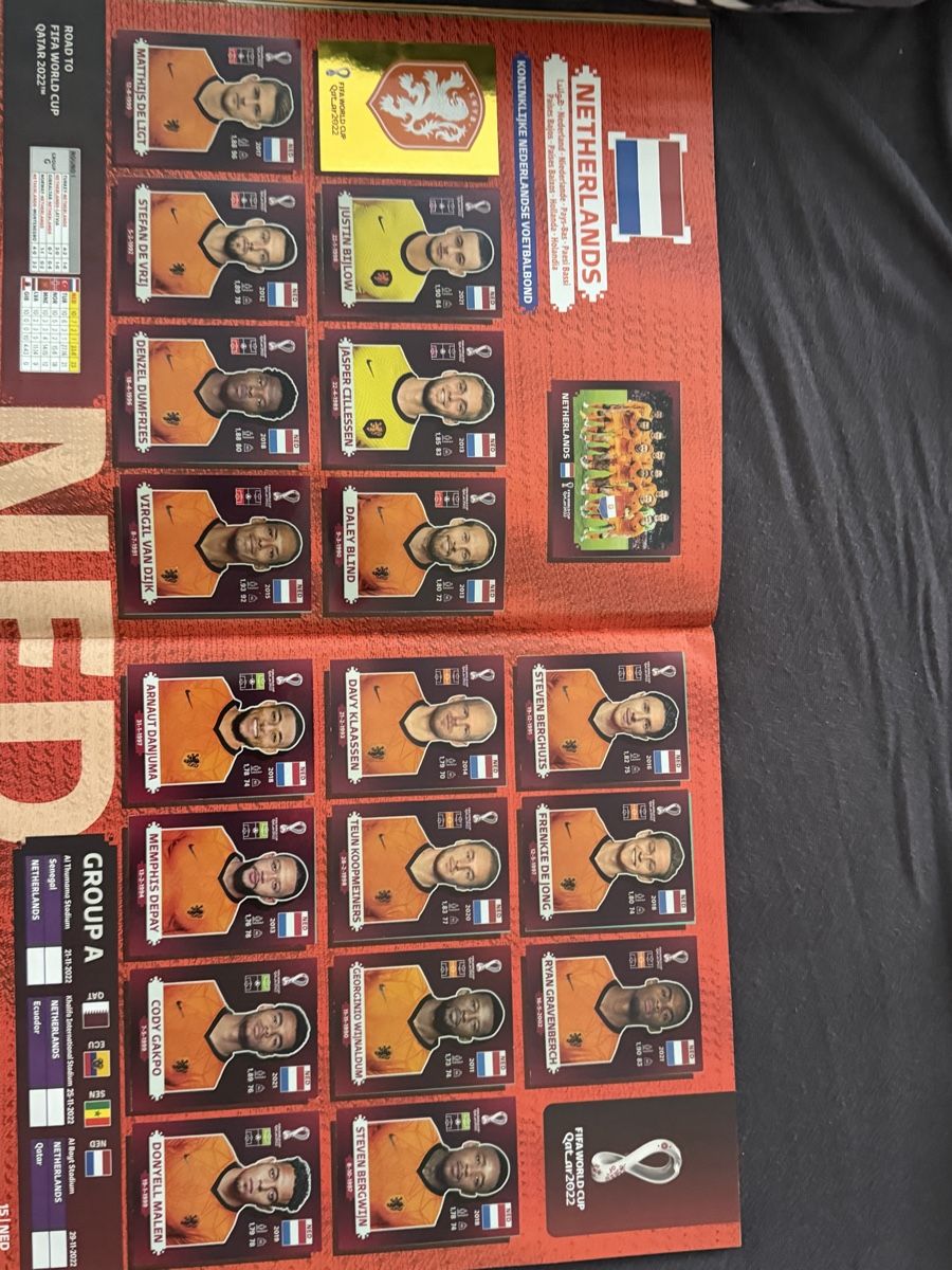Panini Album: World Cup 2022 Qatar volles Buch – Usato da Brittnau venduto da nicola.suter 6