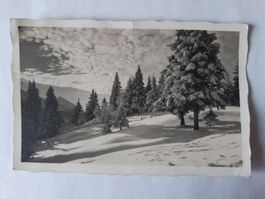 Ansichtskarte, Aussicht v. Hütte Brambrüesch 1931