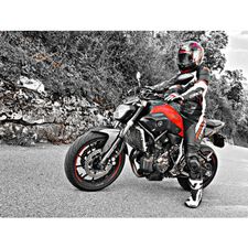 Profile image of Fely98