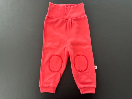 Neu** Baby Hose von Coconette Gr. 74 / 80