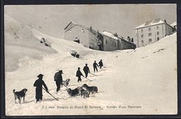Grand St. Bernard, Hospice, Arrivée d'u