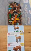 Lego 3in1 