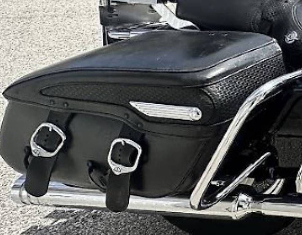Valigie: Harley Sacoches – Usato da chateau d oex venduto da Nic75 2