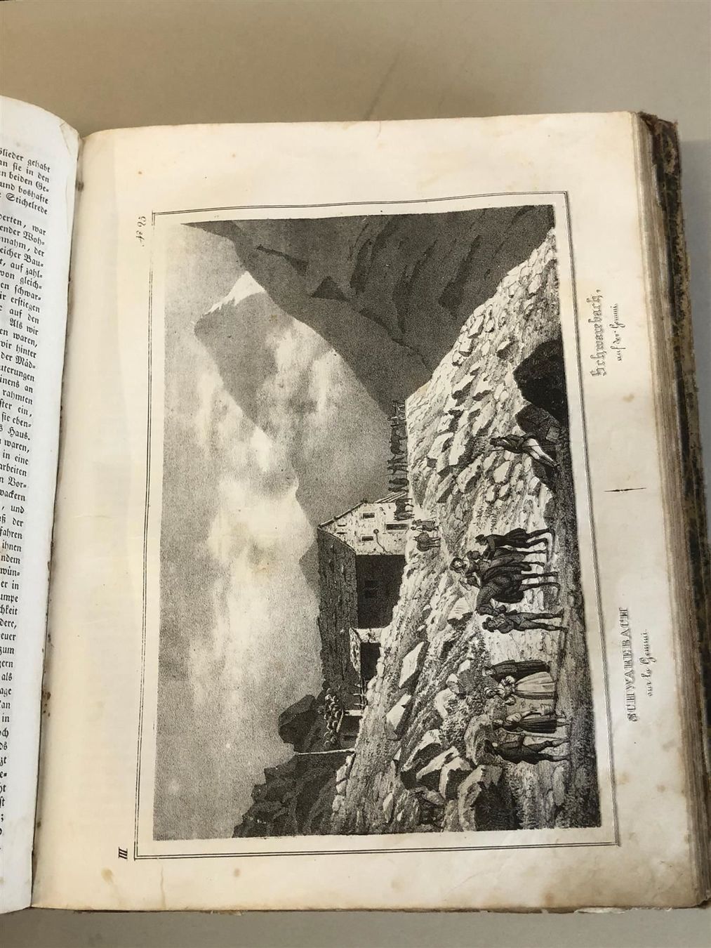 Libri: ** Schweiz historisch naturhistorisch ** – Antico da Bern venduto da Jwpm66 3