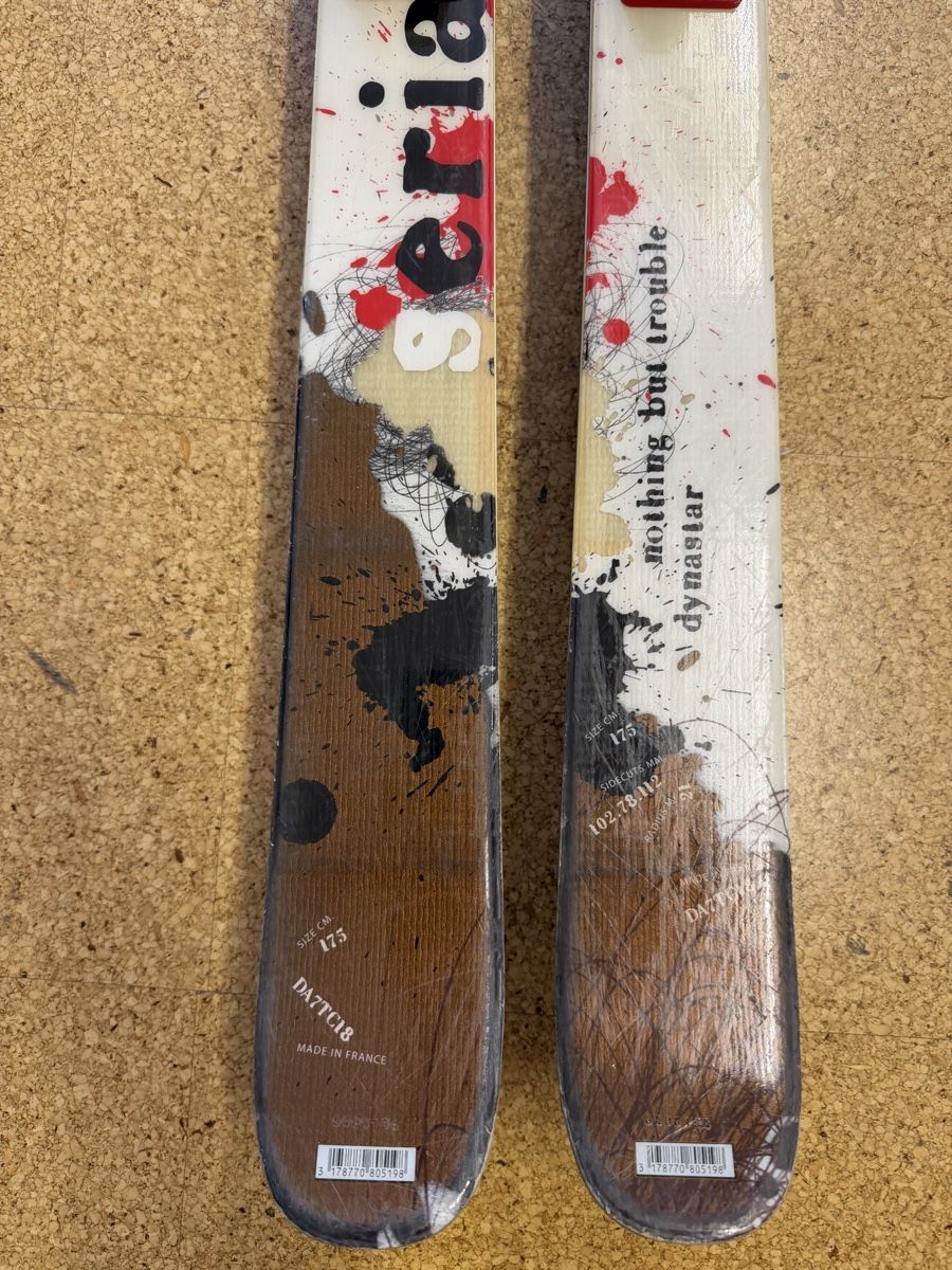 Dynastar Serial – All-Mountain / Freeride Ski 175 cm (Gebraucht) in ...