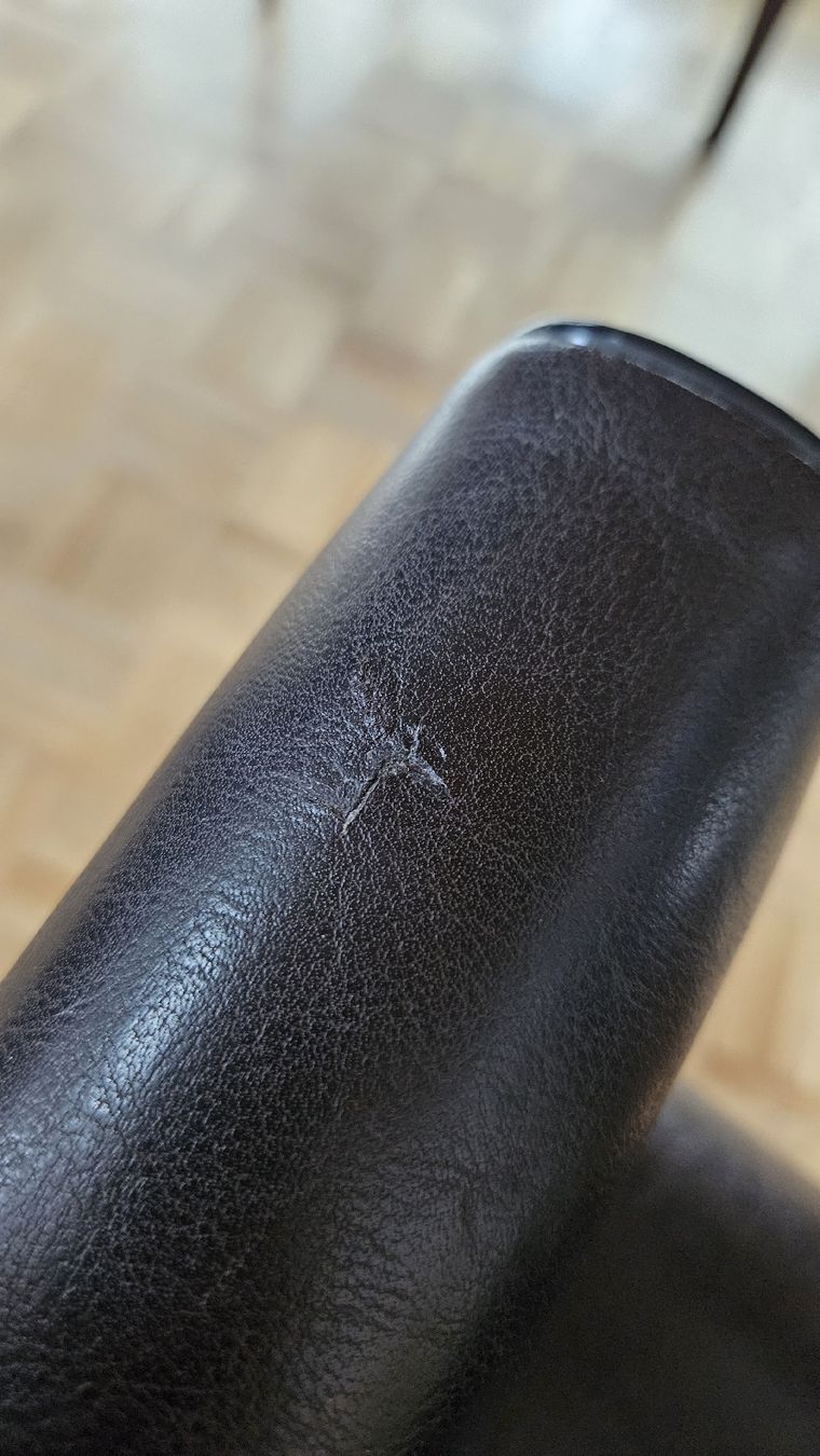 Micasa Sedie: 6x Elegante Designer Esszimmerstühle – Usato da Nürensdorf venduto da luigi_9593 2