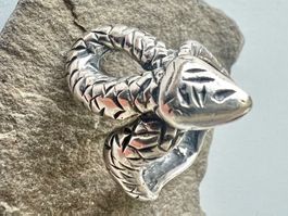 Silber 925 Ring  *Schlange – Symbol für Wandel & Stärke* G56
