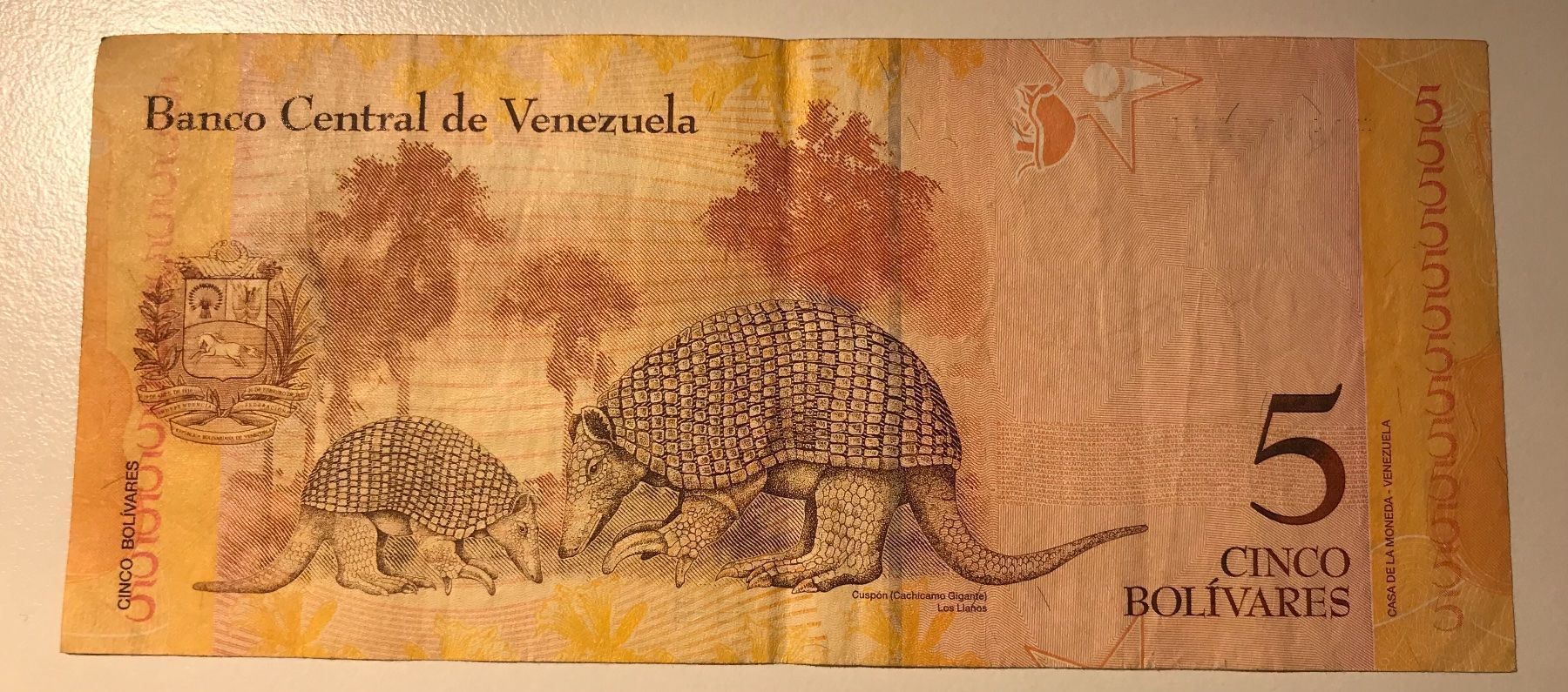 Banconote: Venezuela 5 Bolivares 2007 – Usato da Algetshausen venduto da Carrhard 1