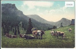 Kuhherde auf der Alp - Litho