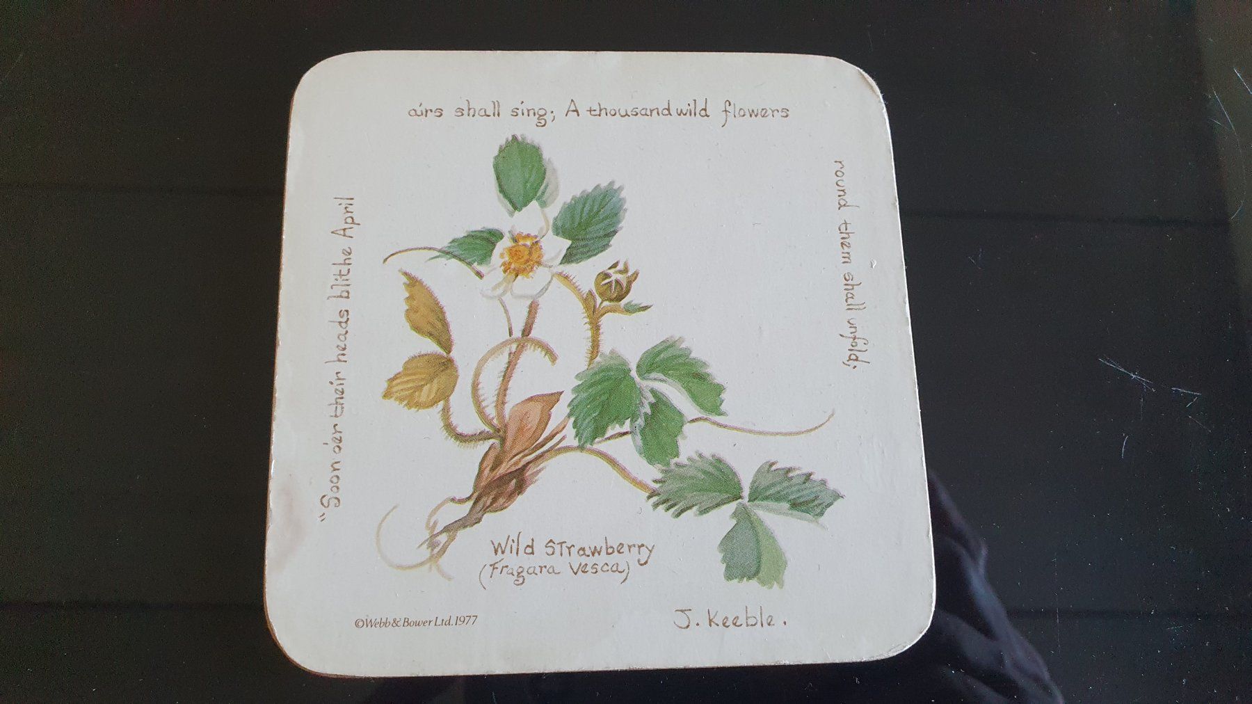 Untersetzer: 2 Vintage Kork Untersetzer – Gebraucht aus Giswil von online-Brockenhaus 3