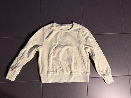 Commas Frühlings-Pulli, Gr. 36, Top Zustand, hellgrün