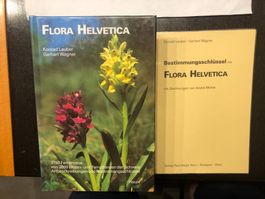 Flora Helvetica Buch mit Bestimmungsschlüssel gebraucht